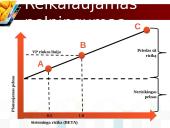 Rizika ir pelnas: visada šalia 15 puslapis