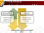 Rizika ir pelnas: visada šalia 16 puslapis