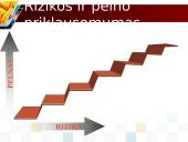 Rizika ir pelnas: visada šalia 20 puslapis