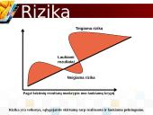Rizika ir pelnas: visada šalia 6 puslapis