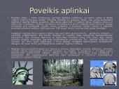 Rūgštūs lietūs ir jų žala 5 puslapis