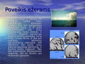 Rūgštūs lietūs ir jų žala 6 puslapis