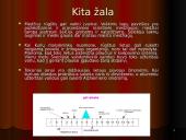 Rūgštūs lietūs ir jų žala 8 puslapis