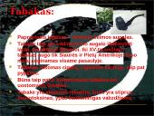 Rūkymas yra žalingas įprotis 4 puslapis