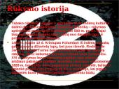 Rūkymas yra žalingas įprotis 6 puslapis