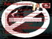 Rūkymas yra žalingas įprotis 7 puslapis