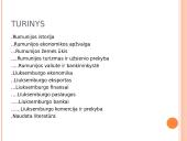 Rumunijos ir Liuksemburgo ekonomika 2 puslapis