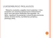 Rumunijos ir Liuksemburgo ekonomika 11 puslapis