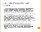 Rumunijos ir Liuksemburgo ekonomika 13 puslapis