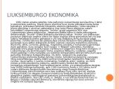 Rumunijos ir Liuksemburgo ekonomika 8 puslapis