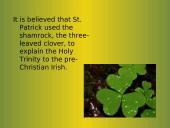 Saint Patrick's Day 15 puslapis