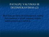 Sanitarinio, higieninio stovio įvertinimas: krovinių gabenimas tarptautiniais maršrutais UAB "Nostrada" 11 puslapis