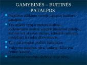 Sanitarinio, higieninio stovio įvertinimas: krovinių gabenimas tarptautiniais maršrutais UAB "Nostrada" 9 puslapis