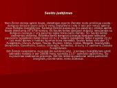 Saulė - artimiausia Žemei žvaigždė 8 puslapis