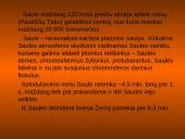 Saulė, jos sandara 7 puslapis