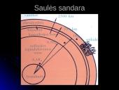 Saulės kaip žvaigždės gimimas, gyvenimas, mirtis 7 puslapis