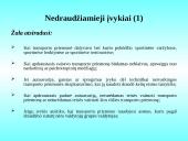 Sausumos transporto priemonių draudimas 13 puslapis