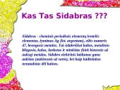 Sidabras ir sidabro lydiniai 2 puslapis