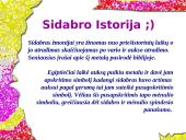Sidabras ir sidabro lydiniai 15 puslapis