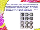 Sidabras ir sidabro lydiniai 16 puslapis