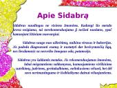 Sidabras ir sidabro lydiniai 17 puslapis