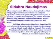 Sidabras ir sidabro lydiniai 19 puslapis