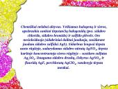 Sidabras ir sidabro lydiniai 5 puslapis