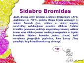 Sidabras ir sidabro lydiniai 6 puslapis