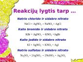 Sidabras ir sidabro lydiniai 10 puslapis