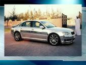 Sidabro savybės ir gavimas 9 puslapis