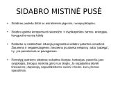 Sidabras ir mistika aplink sidabrą 12 puslapis