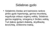 Sidabras ir mistika aplink sidabrą 19 puslapis