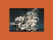 Sidabro savybės 6 puslapis