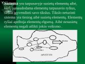 Sisteminio požiūrio prielaidos ir taisyklės 6 puslapis