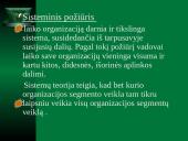 Sisteminio požiūrio prielaidos ir taisyklės 7 puslapis