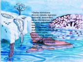 Siurrealizmo srovė 6 puslapis