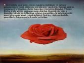 Siurrealizmo srovė 8 puslapis