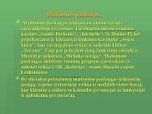 Skuodo savivaldybės turizmo struktūros analizė 11 puslapis