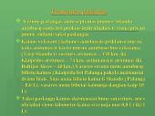 Skuodo savivaldybės turizmo struktūros analizė 12 puslapis