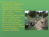 Skuodo savivaldybės turizmo struktūros analizė 16 puslapis