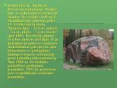 Skuodo savivaldybės turizmo struktūros analizė 18 puslapis