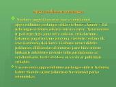 Skuodo savivaldybės turizmo struktūros analizė 10 puslapis