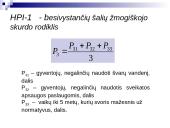 Skurdas ir jo mažinimo priemonės 12 puslapis