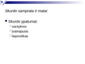 Skurdas ir jo mažinimo priemonės 3 puslapis