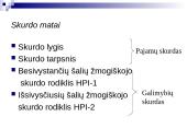 Skurdas ir jo mažinimo priemonės 8 puslapis