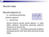 Skurdas ir jo mažinimo priemonės 10 puslapis