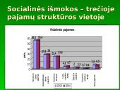 Skurdas ir pajamų nelygybė Lietuvoje 14 puslapis