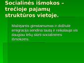 Skurdas ir pajamų nelygybė Lietuvoje 15 puslapis