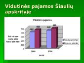 Skurdas ir pajamų nelygybė Lietuvoje 16 puslapis