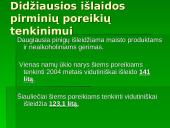 Skurdas ir pajamų nelygybė Lietuvoje 17 puslapis